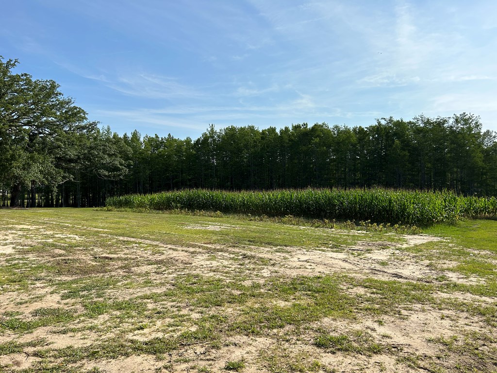 3876 D D Hodge Road Cottonwood, AL 36320 - Photo 27 of 48