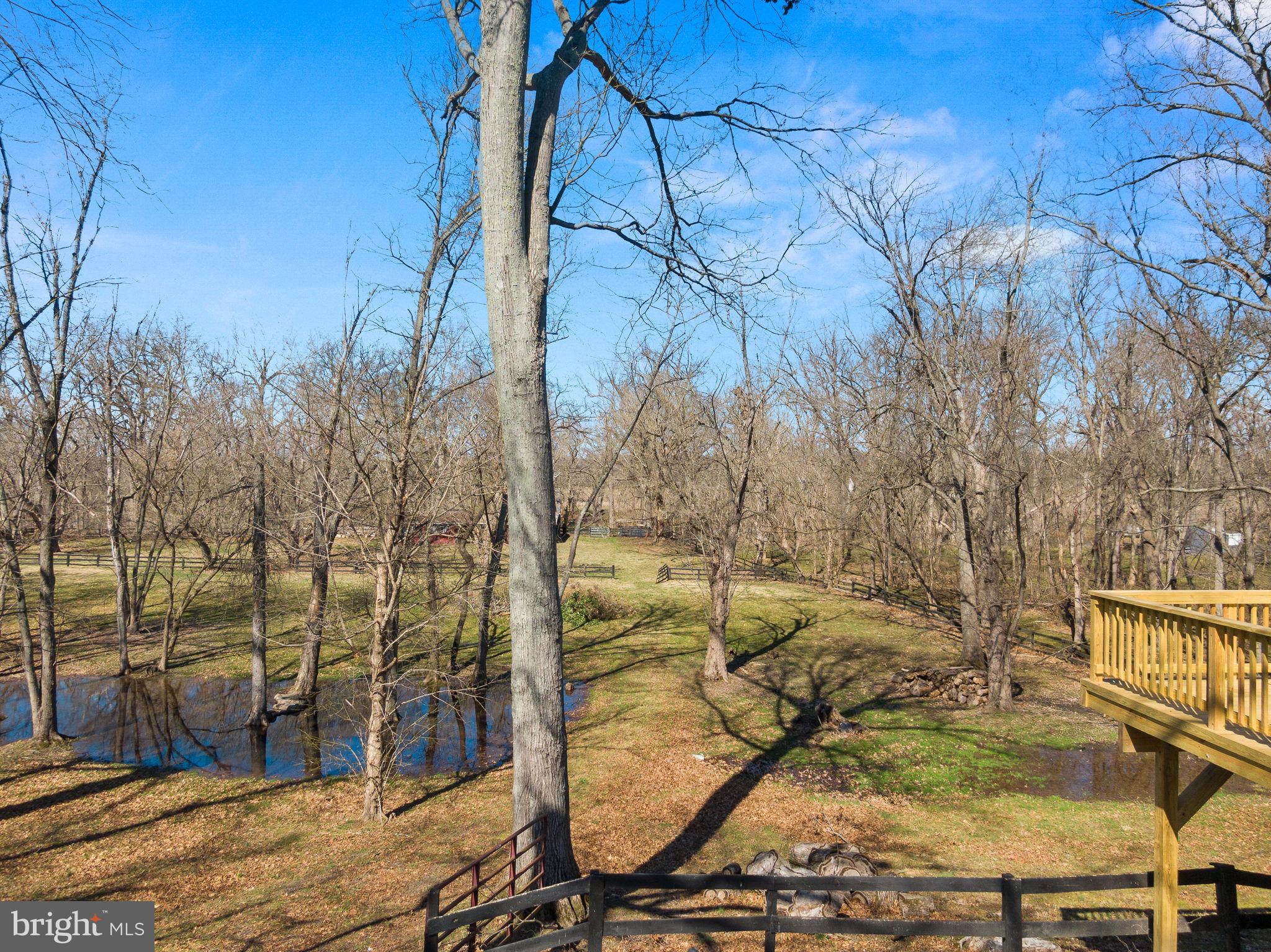 19649 Youngs Cliff Road Sterling, VA 20165 - Photo 69 of 81 Gallery Image 69