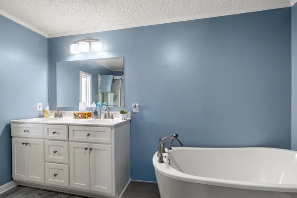 a bathroom with a bathtub sink vanity and mirror