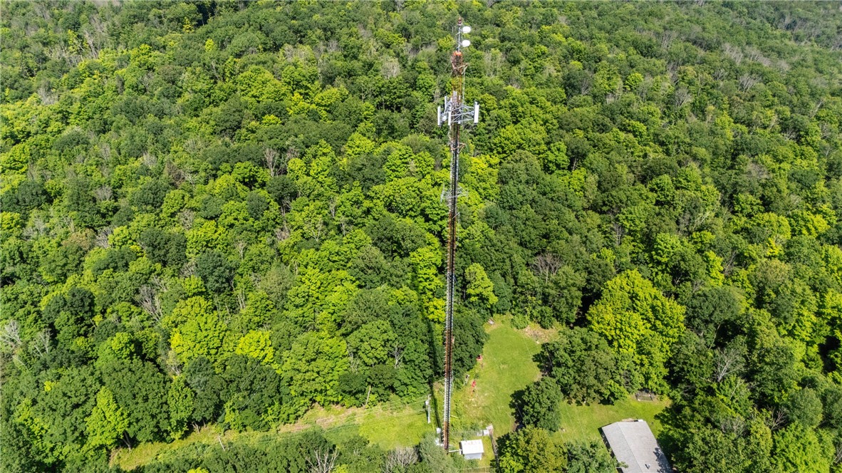 1910 Brush Road Hartsville, NY 14843 - Photo 22 of 30 Aerial view of the property
