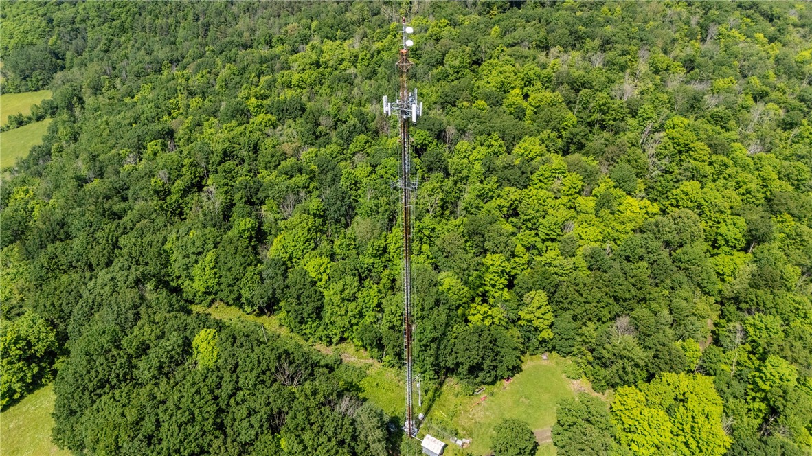 1910 Brush Road Hartsville, NY 14843 - Photo 23 of 30 Aerial view of the property