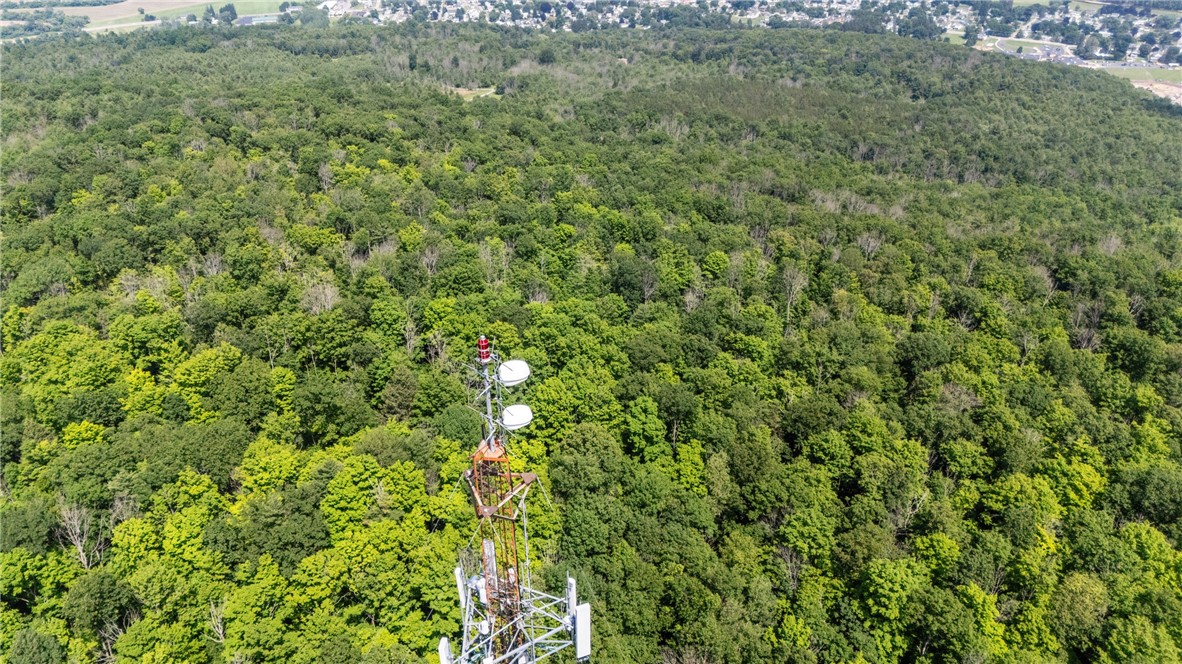 1910 Brush Road Hartsville, NY 14843 - Photo 25 of 30
