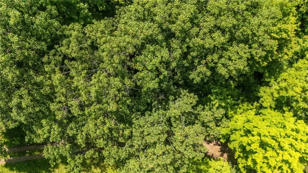 $170,000 | 1910 Brush Road, Hartsville, NY 14843