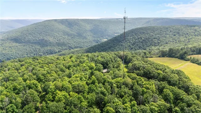 $170,000 | 1910 Brush Road, Hartsville, NY 14843