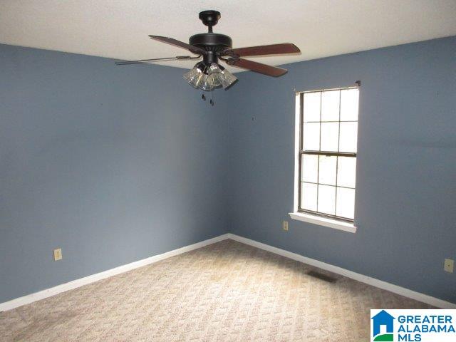 250 Birch Tree Road Hayden, AL 35079 - Photo 23 of 25