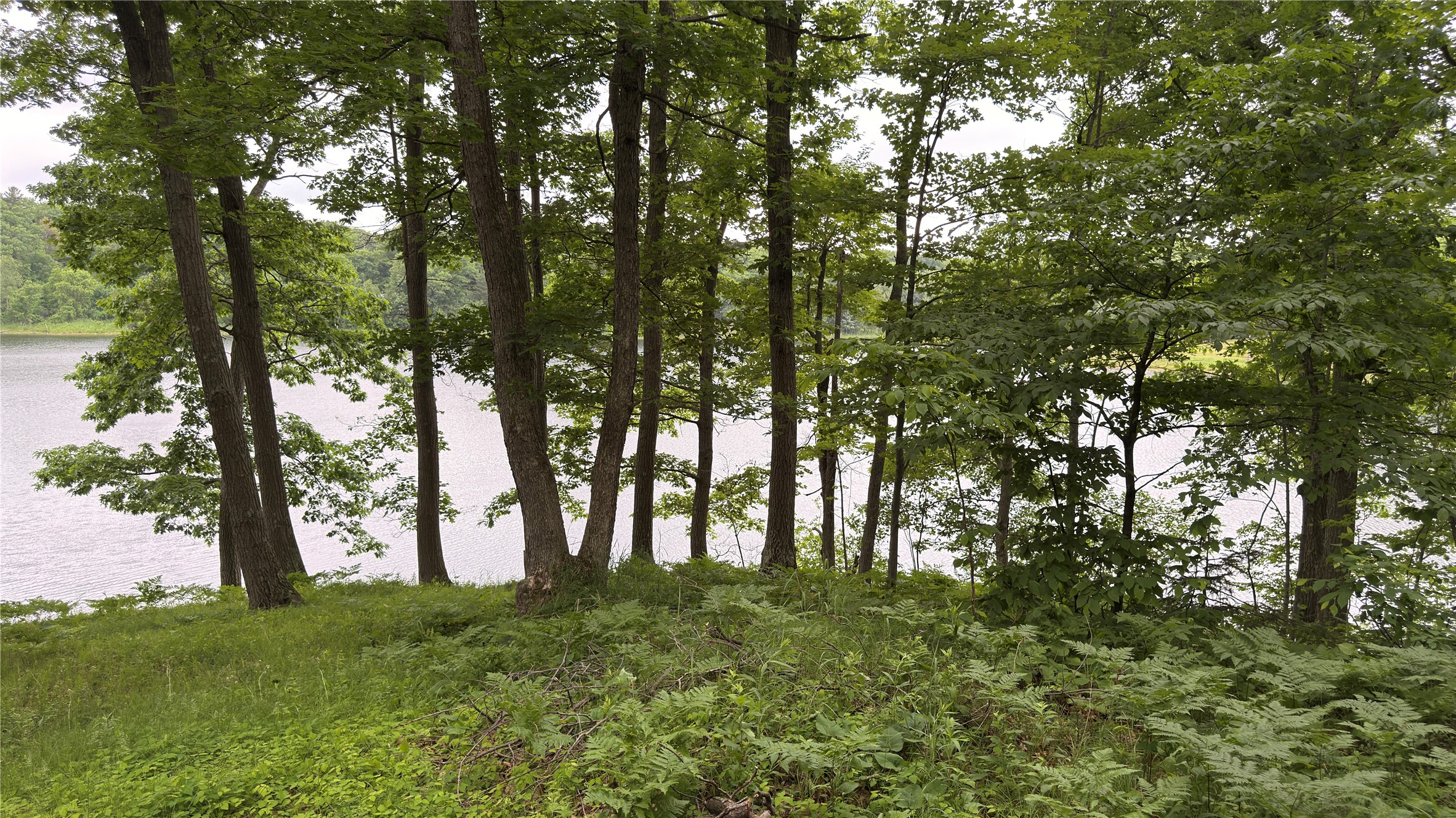 765 270th Avenue Frederic, WI 54837 - Photo 5 of 17