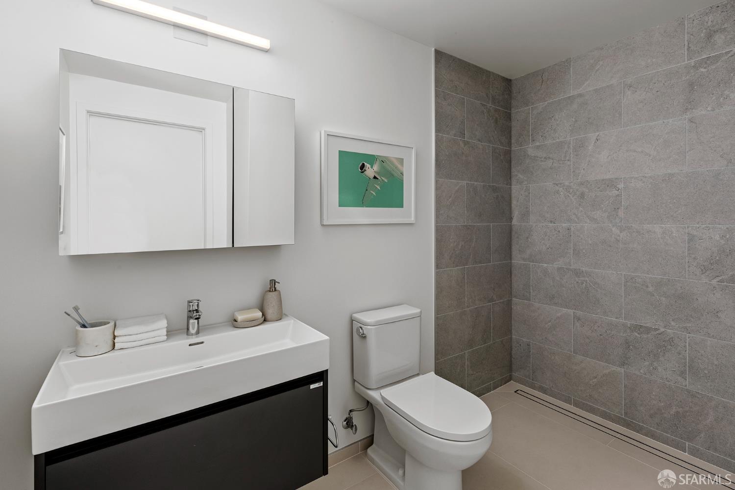 988 Harrison Street, Unit HL4 San Francisco, CA 94107 - Photo 8 of 10 a bathroom with a sink a toilet and a mirror