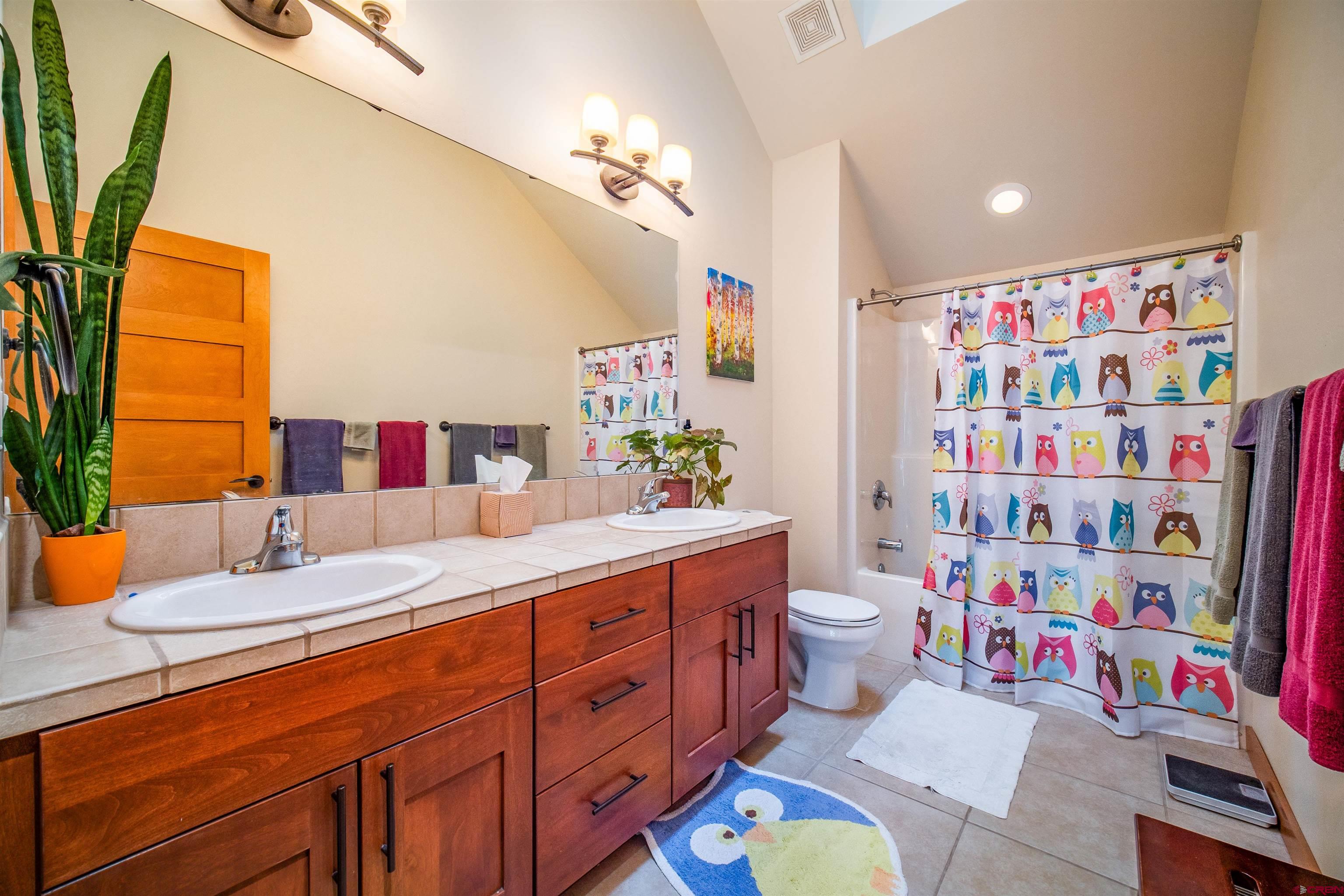 25 Red Table Court Durango, CO 81301 - Photo 19 of 34 a bathroom with a sink a vanity and a toilet