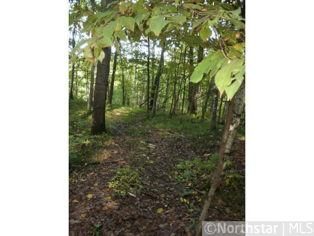 Xxx Styles Road Frederic, WI 54837 - Photo 1 of 1