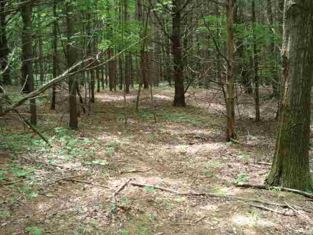 0 Spring Valley Road Greenville, NY 12083 - Photo 3 of 5 Photo 3