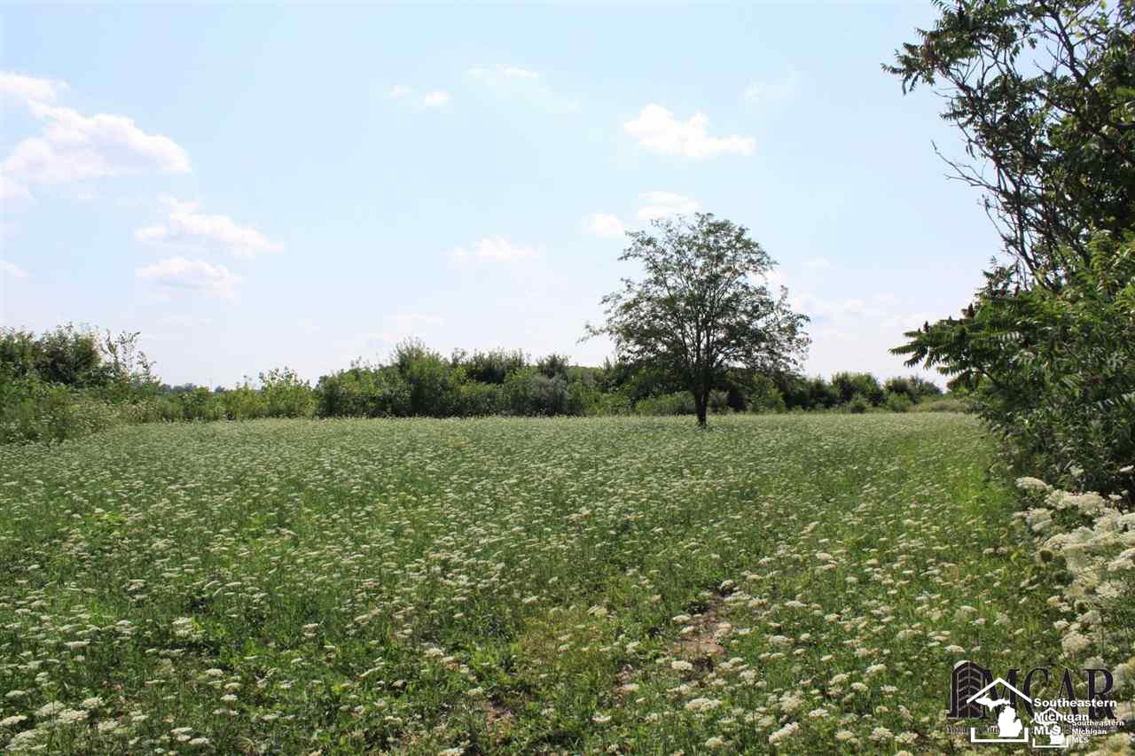 0 Finzel Road Carleton, MI 48117 - Photo 6 of 7