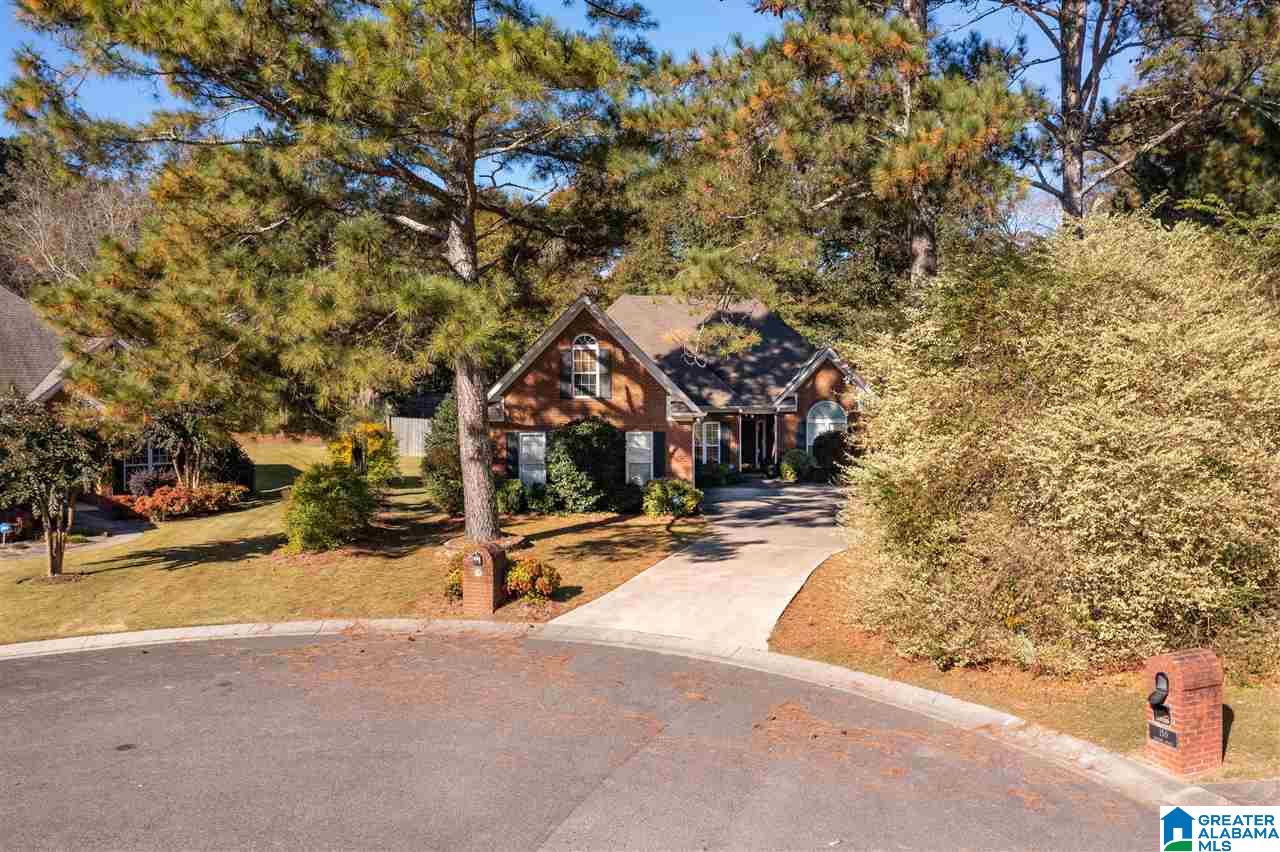 155 Meadow Brook Springville, AL 35146 - Photo 48 of 49