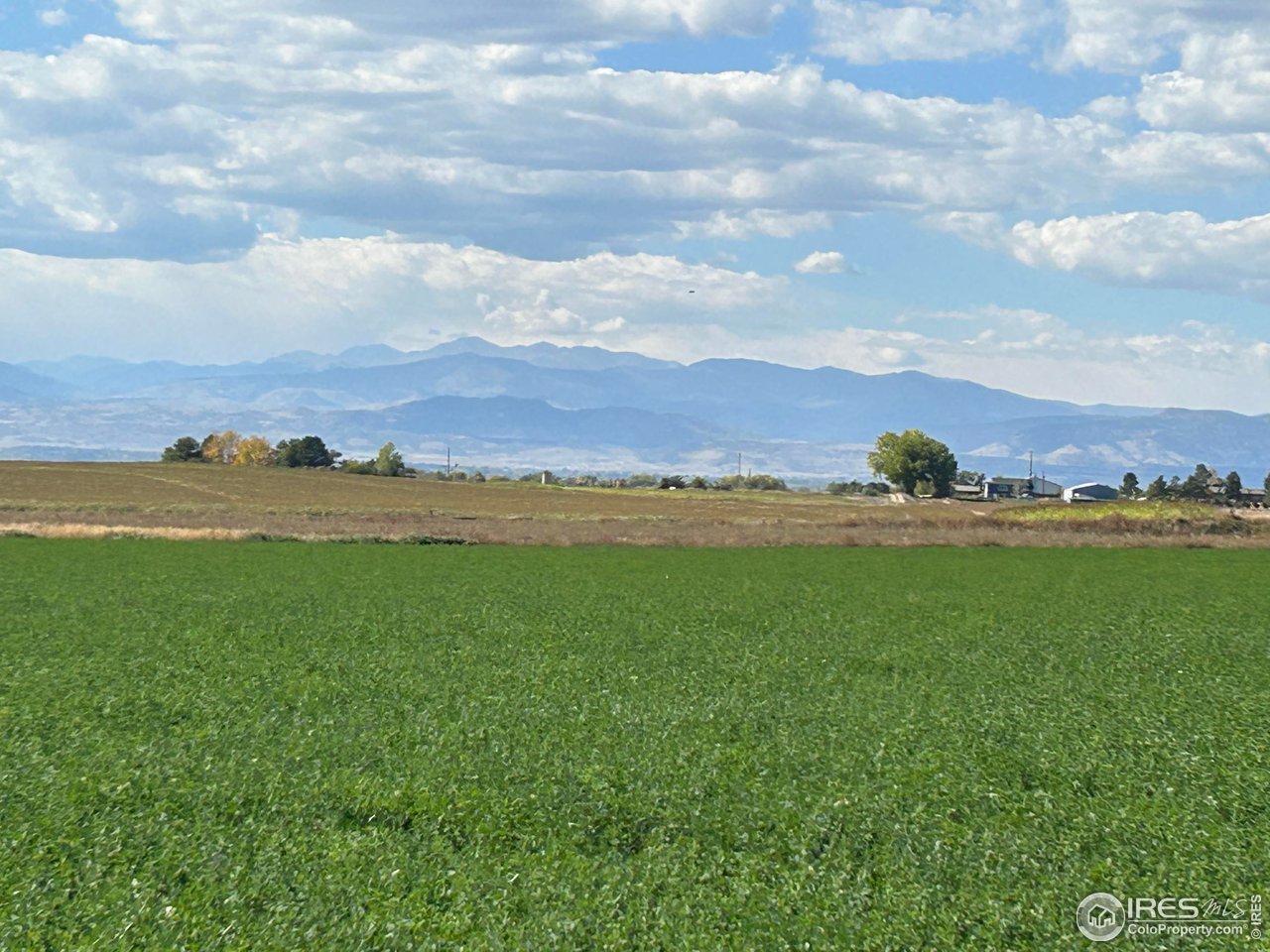 Rd Windsor, CO 80550 - Photo 2 of 4