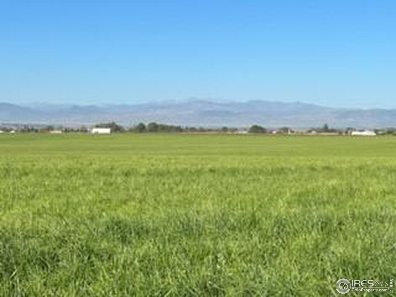 Rd Windsor, CO 80550 - Photo 3 of 4