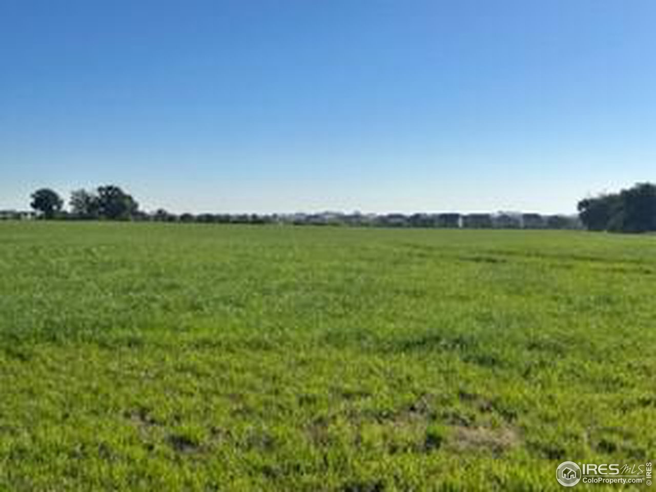 Rd Windsor, CO 80550 - Photo 4 of 4