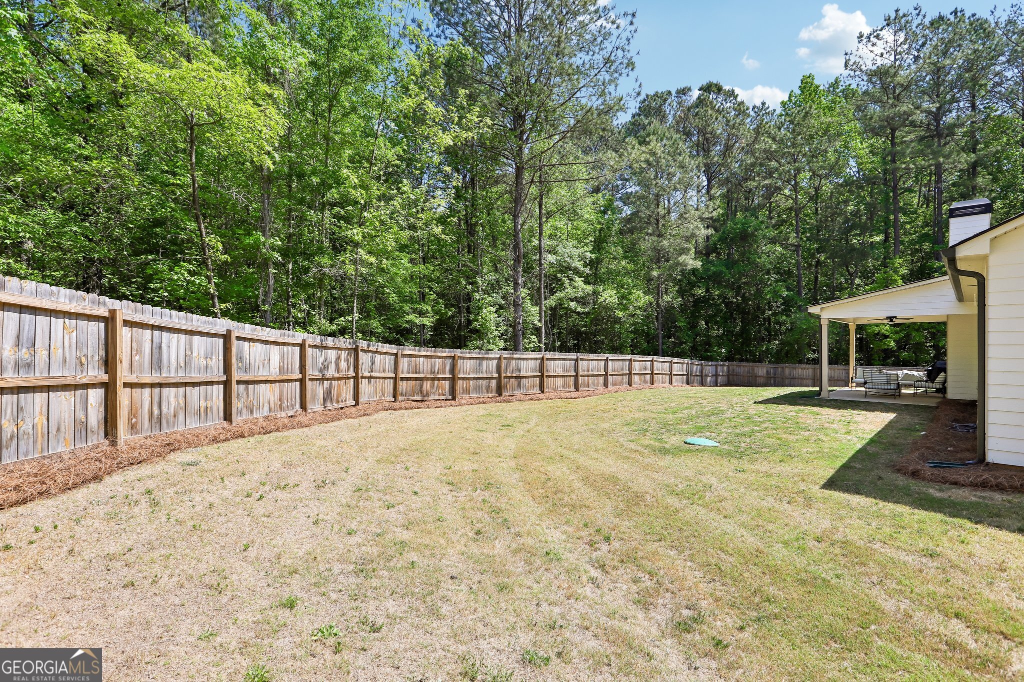 807 Rowe Road Senoia, GA 30276 - Photo 36 of 40