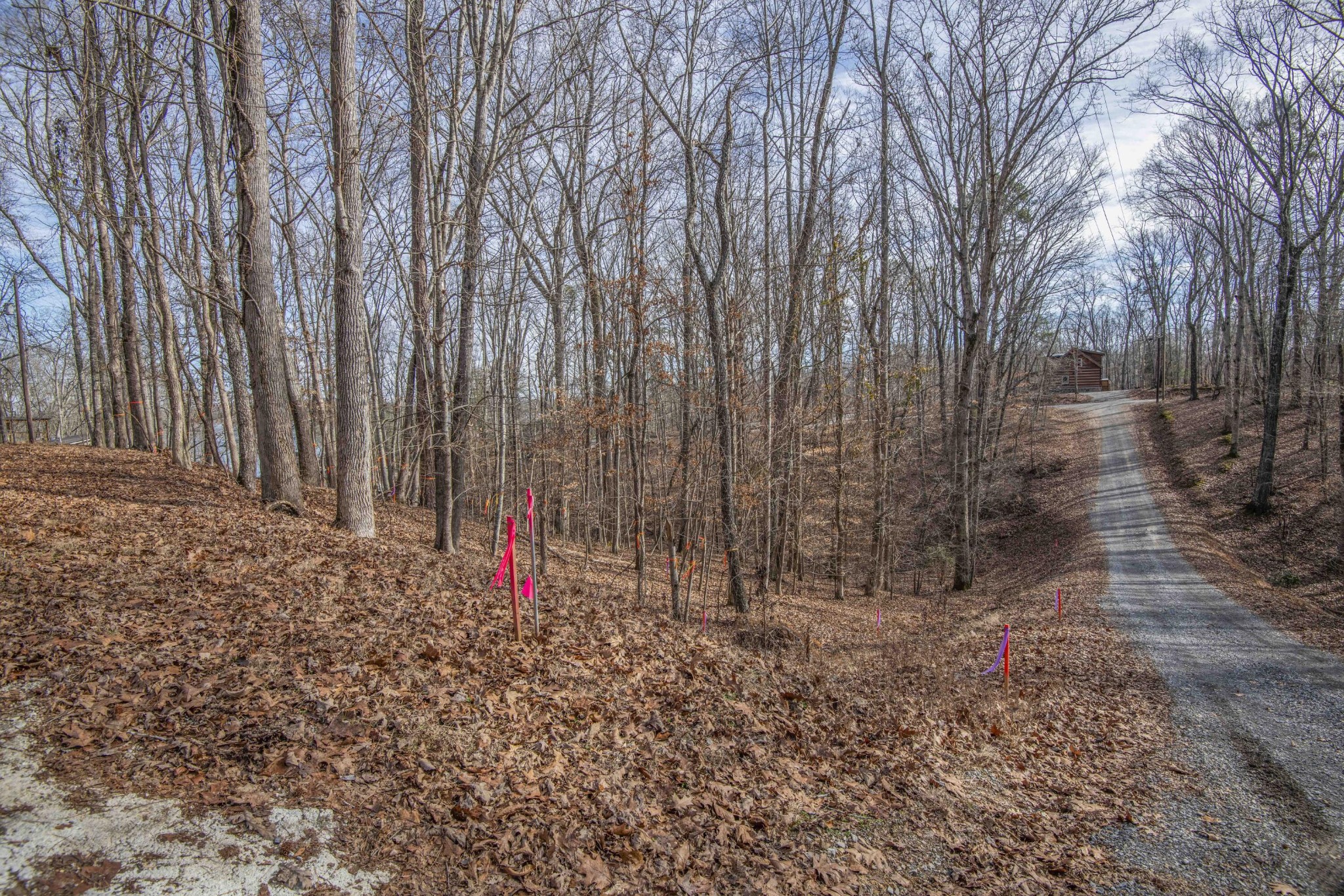 0 Sunset Court Spring City, TN 37381 - Photo 14 of 27 Gallery Image 14