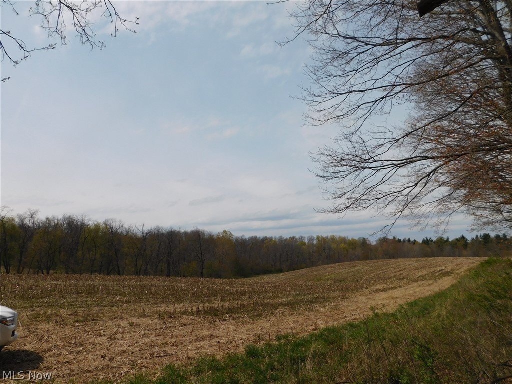 Cullison Road Utica, OH 43080 - Photo 15 of 22