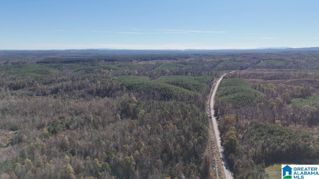 0 County Road 65 Fruithurst, AL 36262 - Photo 14 of 14