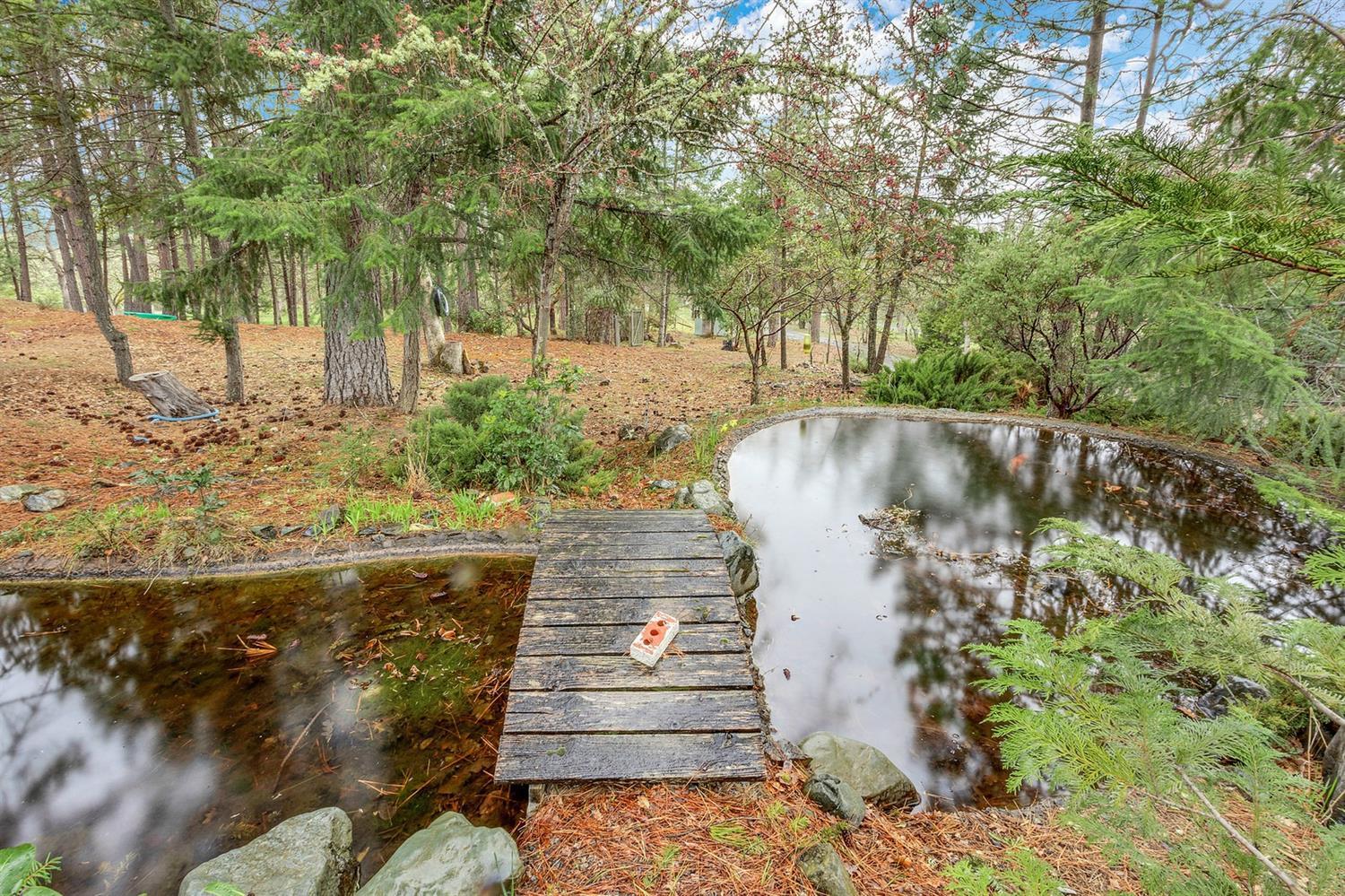 1231 Upper Applegate Road Jacksonville, OR 97530 - Photo 27 of 35 Additional Photo