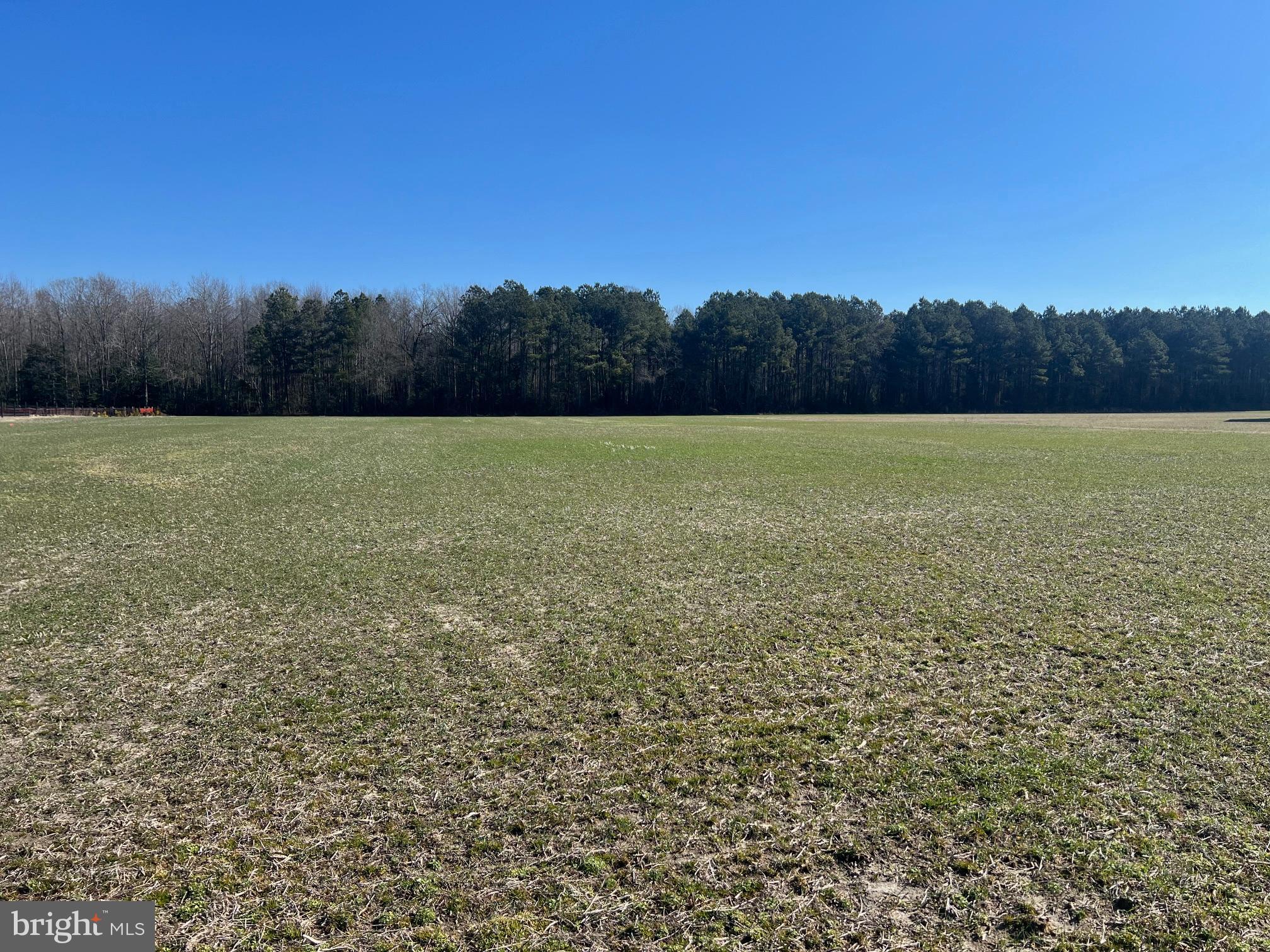 Lot # Oakley Road Ellendale, DE 19941 - Photo 1 of 3 Gallery Image 1