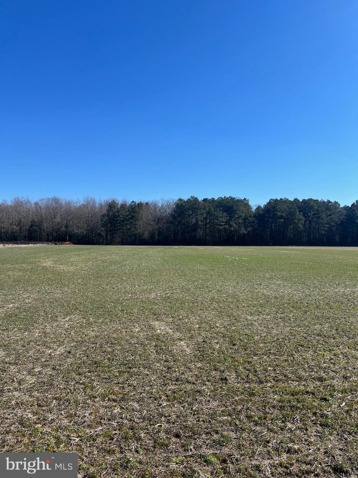 Lot # Oakley Road Ellendale, DE 19941 - Photo 3 of 3 Gallery Image 3