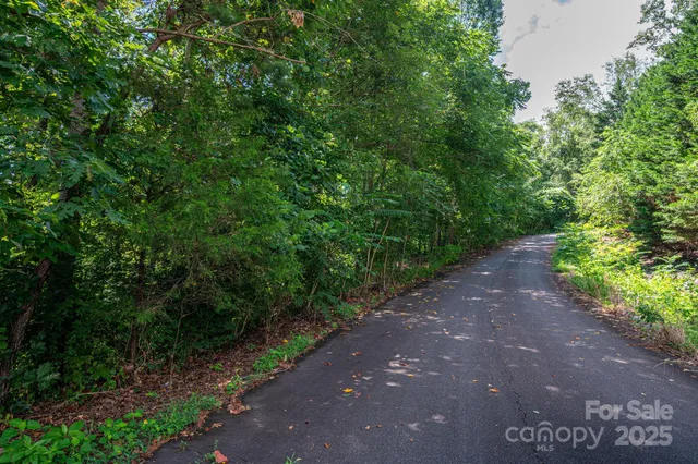a view of a street with a trees