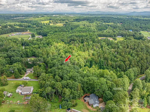 a view of a garden with a flower garden
