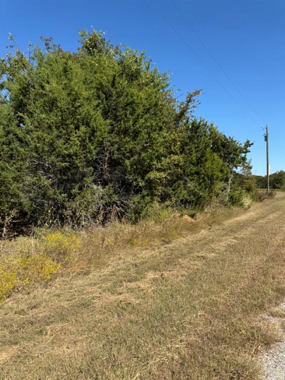 36026 Cedar Ridge Drive Whitney, TX 76692 - Photo 11 of 14 a view of a yard with a tree