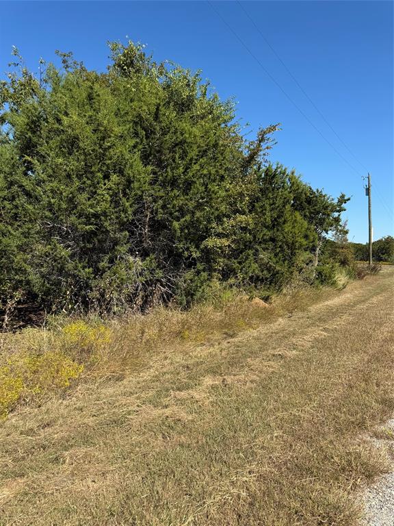 36026 Cedar Ridge Drive Whitney, TX 76692 - Photo 12 of 14 a view of a yard with a tree
