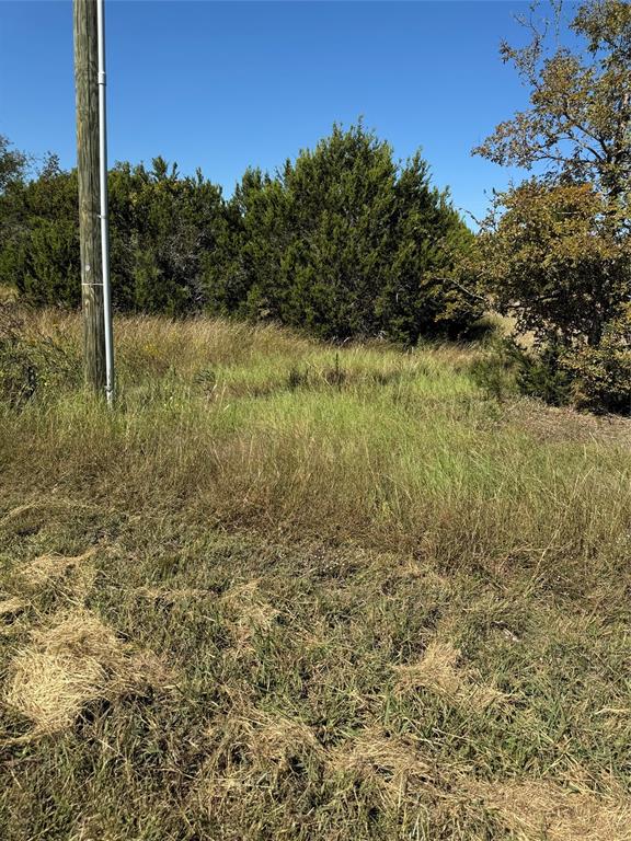 36026 Cedar Ridge Drive Whitney, TX 76692 - Photo 13 of 14 a view of a yard with a tree