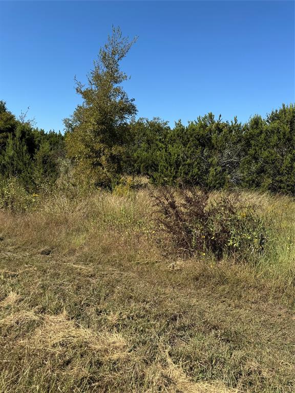 36026 Cedar Ridge Drive Whitney, TX 76692 - Photo 14 of 14 a view of a lake with a mountain in the background