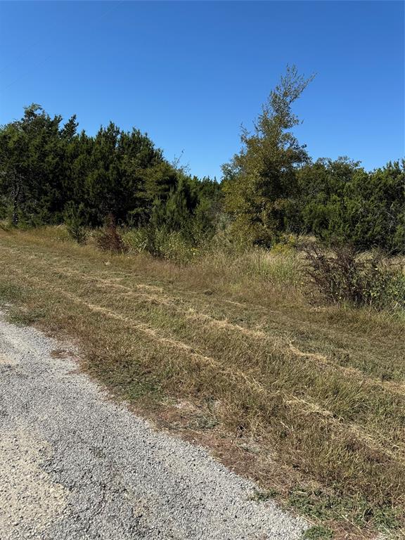 36026 Cedar Ridge Drive Whitney, TX 76692 - Photo 2 of 14 a view of a field with trees in the background