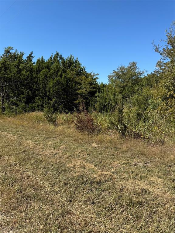 36026 Cedar Ridge Drive Whitney, TX 76692 - Photo 4 of 14 a view of a yard with a tree