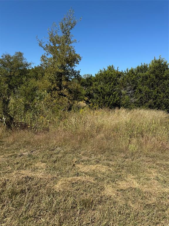 36026 Cedar Ridge Drive Whitney, TX 76692 - Photo 6 of 14 a view of a lake view