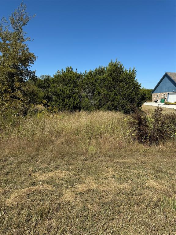 36026 Cedar Ridge Drive Whitney, TX 76692 - Photo 7 of 14 a view of lake