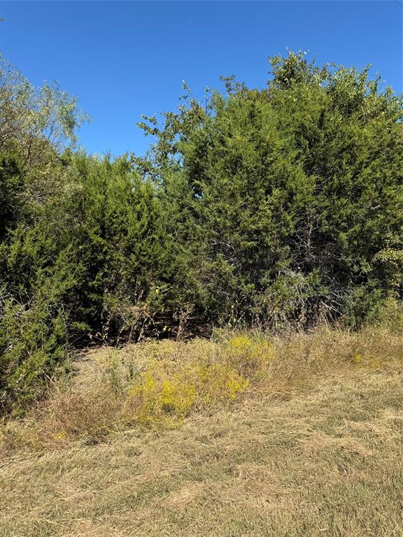 36026 Cedar Ridge Drive Whitney, TX 76692 - Photo 8 of 14