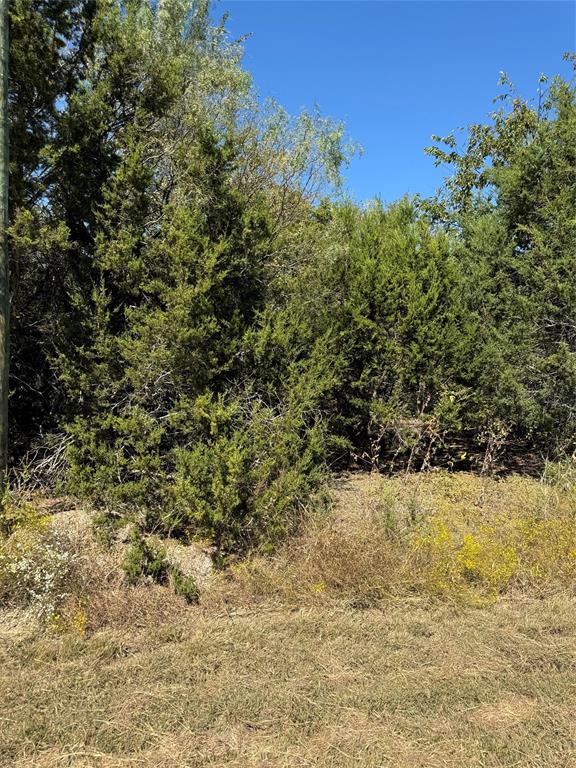 36026 Cedar Ridge Drive Whitney, TX 76692 - Photo 9 of 14 a view of a yard with a tree