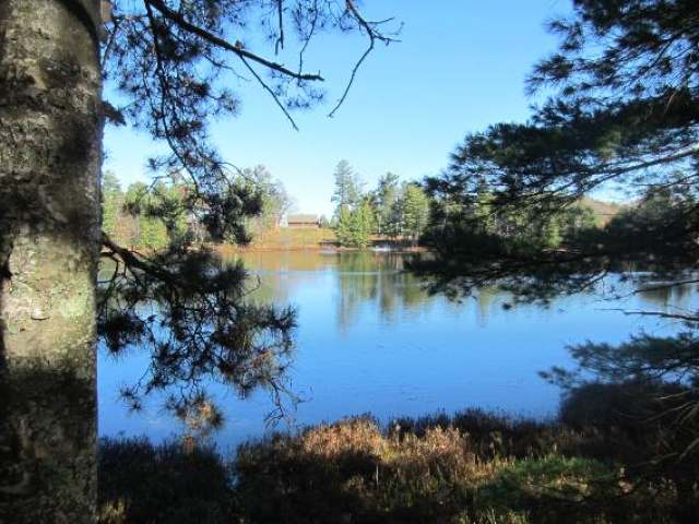 12-lots 12-lots Sand Lake Road Mercer, WI 54547 - Photo 15 of 20 Gallery Image 15