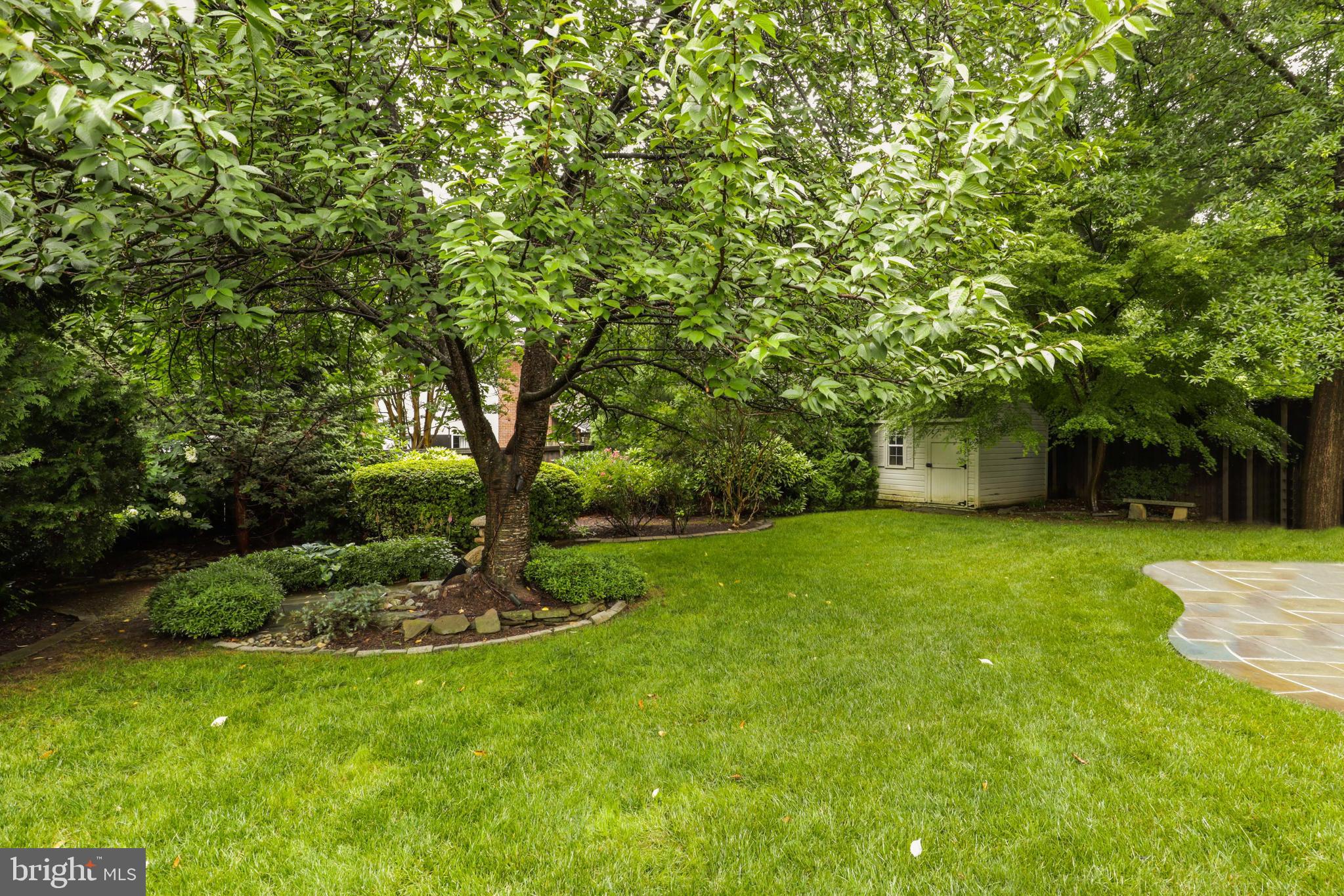 1515 Cedar Avenue McLean, VA 22101 - Photo 34 of 37