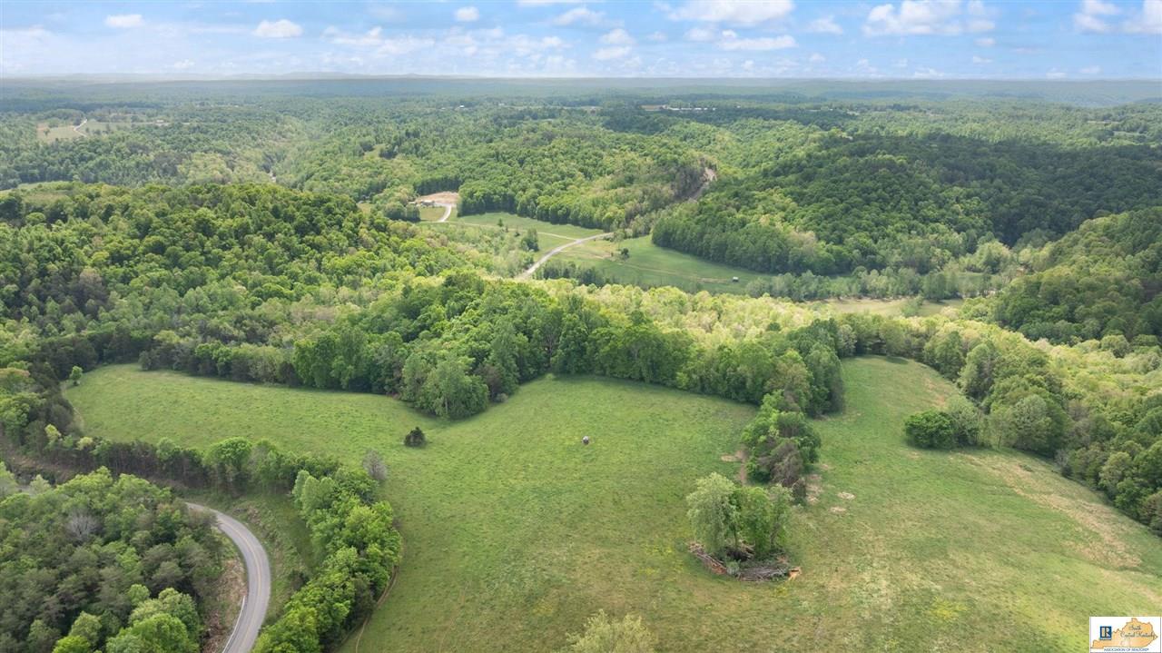 110 Crocus View Road Glens Fork, KY 42741 - Photo 44 of 75 Gallery Image 44
