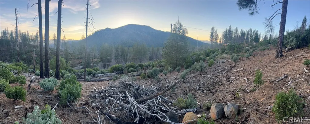 16749 Starview Loop Cobb, CA 95426 - Photo 11 of 25 a view of a house with a yard and a forest