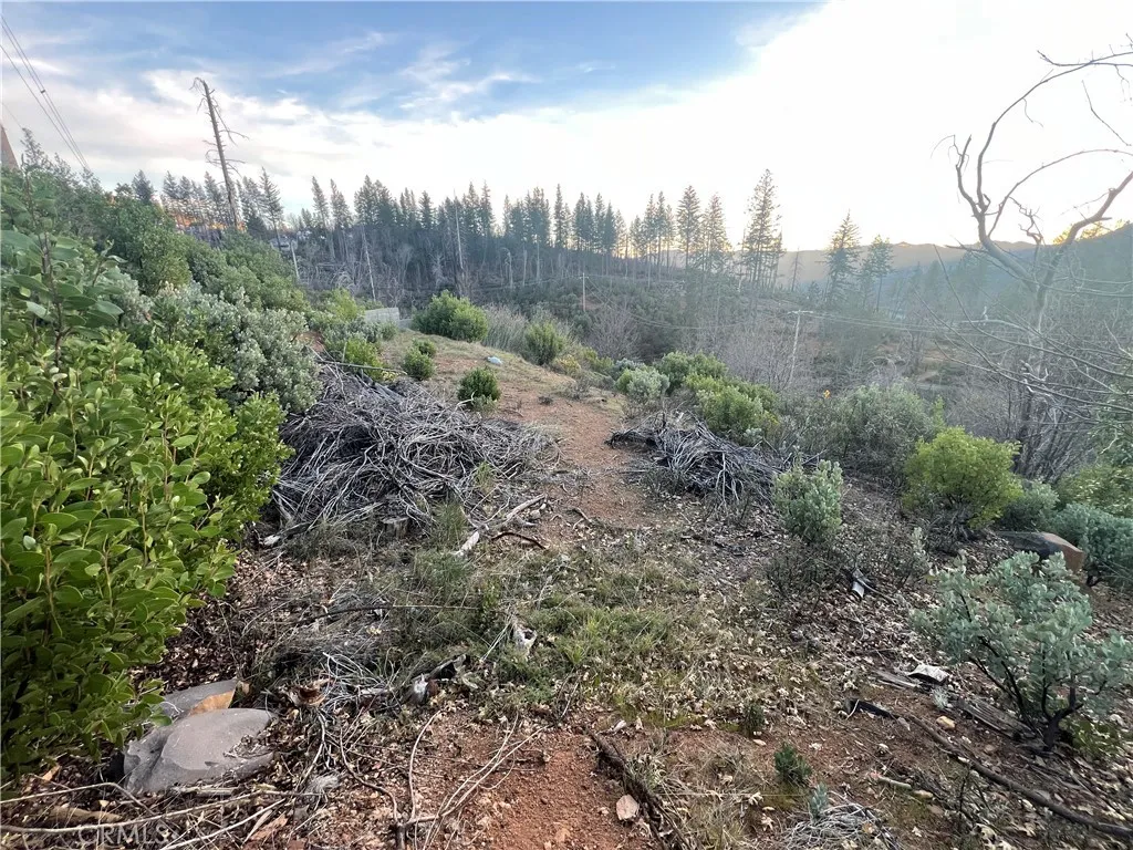16749 Starview Loop Cobb, CA 95426 - Photo 15 of 25 a view of a dry yard with trees
