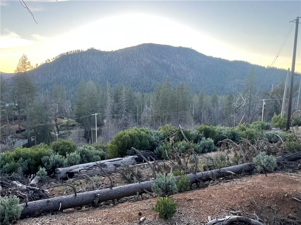 16749 Starview Loop Cobb, CA 95426 - Photo 20 of 25 a view of a house with a field