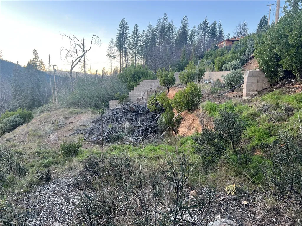 16749 Starview Loop Cobb, CA 95426 - Photo 3 of 25 a view of a field with plants and trees