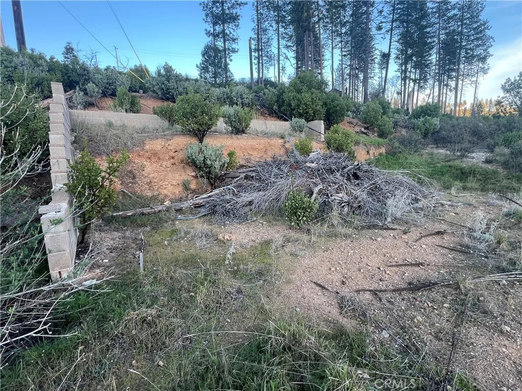 16749 Starview Loop Cobb, CA 95426 - Photo 4 of 25 a view of a yard with plants and large trees