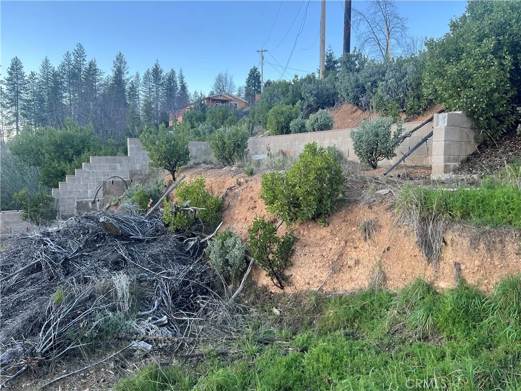 16749 Starview Loop Cobb, CA 95426 - Photo 5 of 25