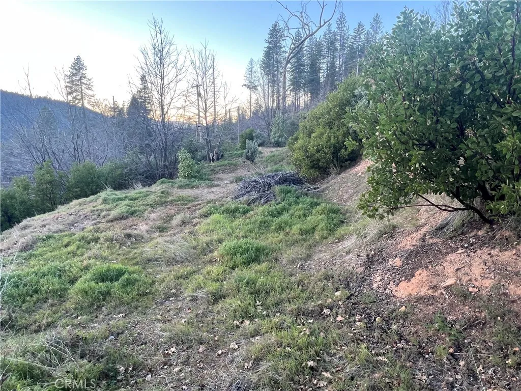 16749 Starview Loop Cobb, CA 95426 - Photo 6 of 25 a big yard with lots of green space and deers