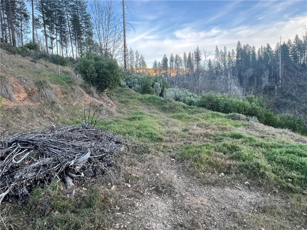 16749 Starview Loop Cobb, CA 95426 - Photo 7 of 25 a view of a large yard with lots of green space
