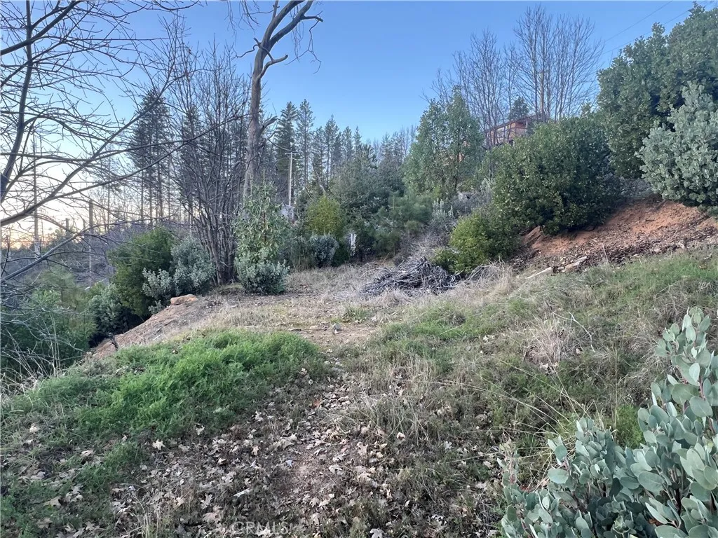 16749 Starview Loop Cobb, CA 95426 - Photo 8 of 25 a big yard with lots of green space and deers